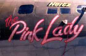 pink_lady.JPG (5988 octets)
